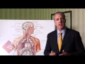 Mesothelioma Lawyer What are the Different Types of Mesothelioma