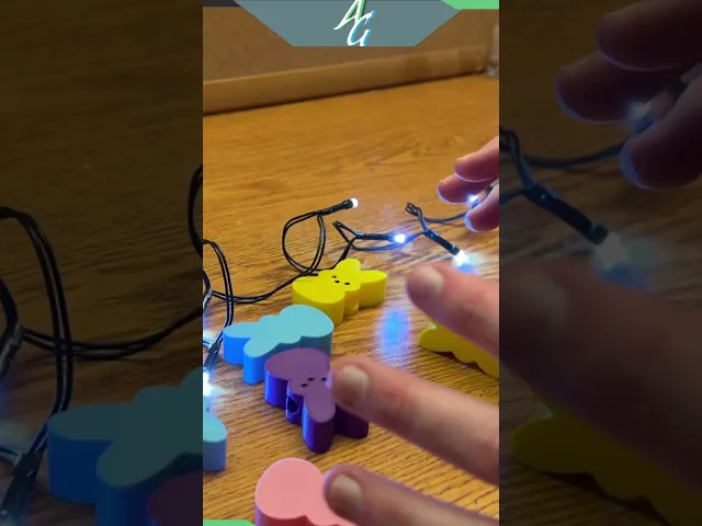 Peep LED Garland video thumbnail