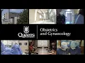 Queen s Obstetrics and Gynaecology