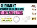 How to construct a phylogenetic tree and sequence alignment MEGA X software - Lecture 2