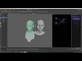 Crystallizer - Automatic Alignment